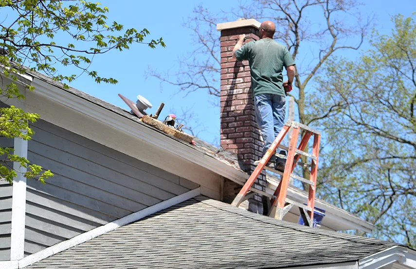 Chimney & Fireplace Inspections Services in Centereach, NY